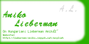 aniko lieberman business card